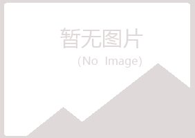 雁山区敷衍能源有限公司